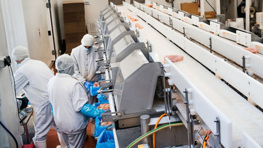 Anti-Slip Stair Treads & Photoluminescent Egress for Food Processing Plants | ComposiGrip™ & Ecoglo®